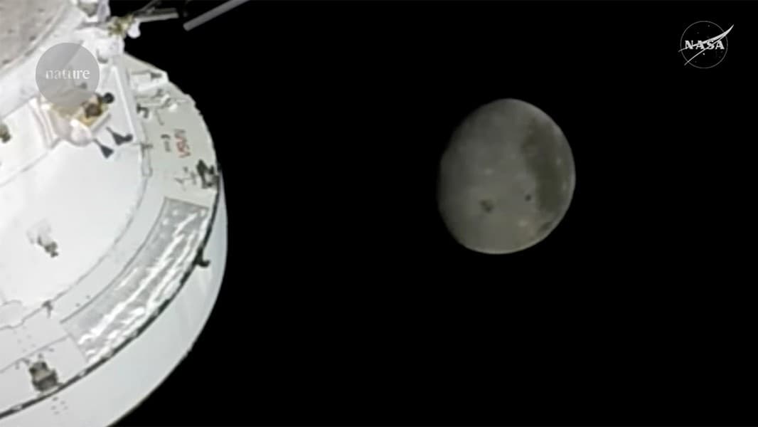 Biohacking Espacial: El Protocolo de Aislamiento de la NASA para la Re