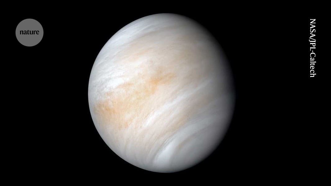 Biohacking: Desbloquea tu potencial con el polvo cósmico de Venus