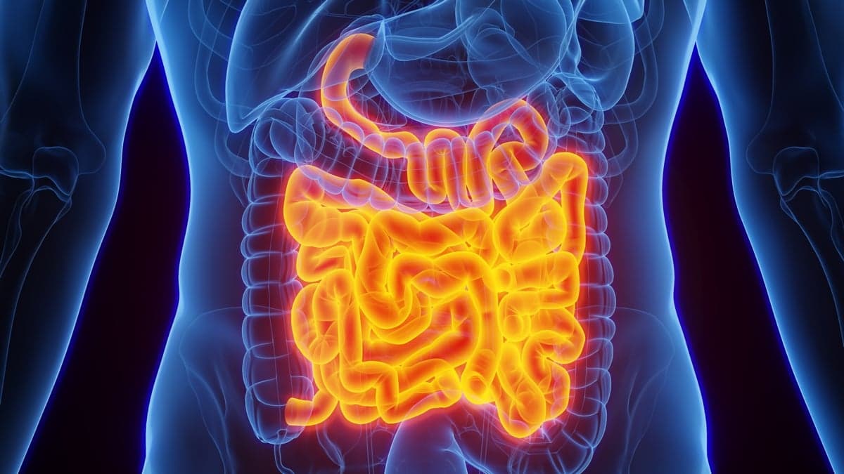 Gut Health: Unlock the Power of a Special Protein and How to Optimize 