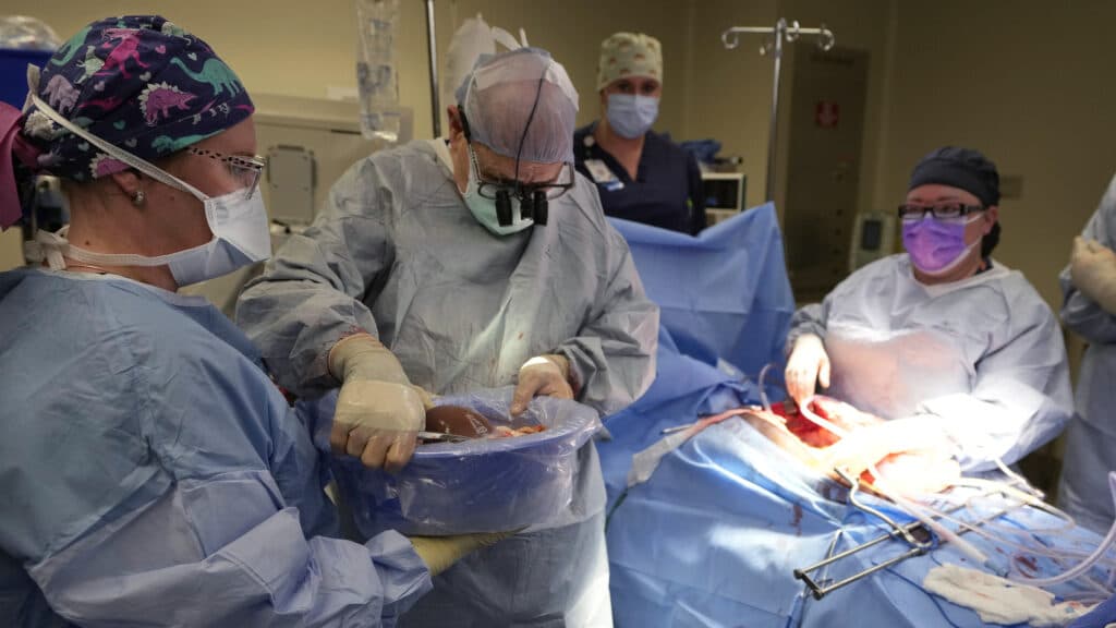 Tolerancia inmunológica: Protocolo celular para trasplantes hepáticos 